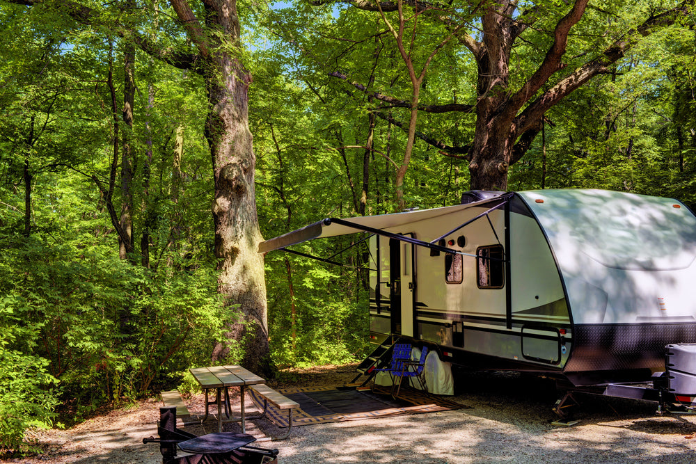 Camper trailer set up in a forest