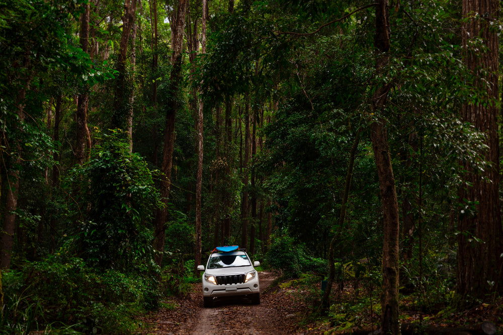 4WD driving through the bush in Tasmania