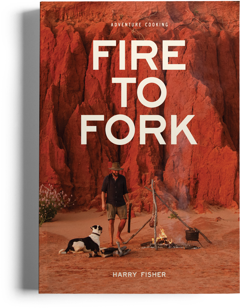Cover Fire to Fork Cooking book 